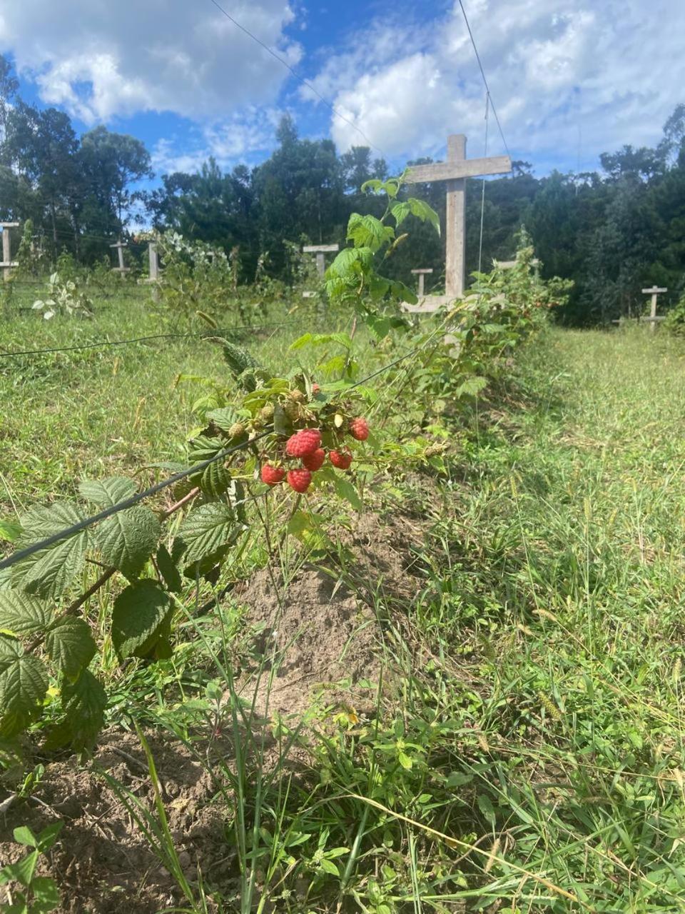 Cabana Recanto Do Physalis Rio Rufino Zewnętrze zdjęcie